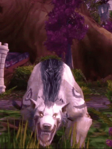 Druid
