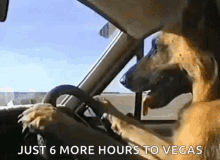 Almost There Traveling GIF - Almost There Traveling Dog GIFs