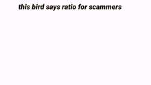 This Bird Says Ratio For Scammers Birds GIF - This Bird Says Ratio For Scammers Birds GIFs