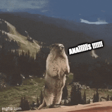 a ground squirrel standing on its hind legs with a caption that says anaiiiis