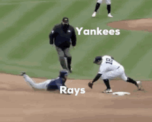 theteremyjaylor yankees rays mlb baseball