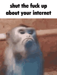 Slow Internet Internet Down GIF - Slow Internet Internet Down Internet Slow GIFs
