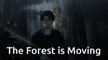 The Forest Valheim GIF - The Forest Valheim Attack On Titan GIFs