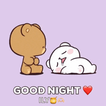 a cartoon of a teddy bear kissing another teddy bear with the words good night ily
