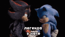 shadow the hedgehog and sonic the hedgehog are standing next to each other in a video game .