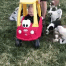 Dogs Driver GIF - Dogs Driver Maul GIFs
