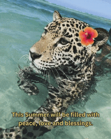 a leopard in the water with a flower on its head