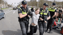 Greta Thunberg Arrested GIF - Greta Thunberg Arrested Dragged GIFs