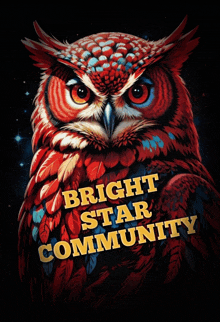 a poster with an owl and the words bright star community on it