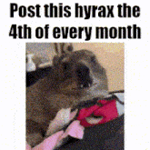 a picture of a dog with the words post this hyrax the 4th of every month above it