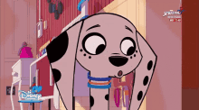 a dalmatian dog is on a disney channel ad