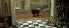 Whoa Deja Vu Matrix Glitch GIF - Whoa Deja Vu Matrix Glitch Black Cat GIFs