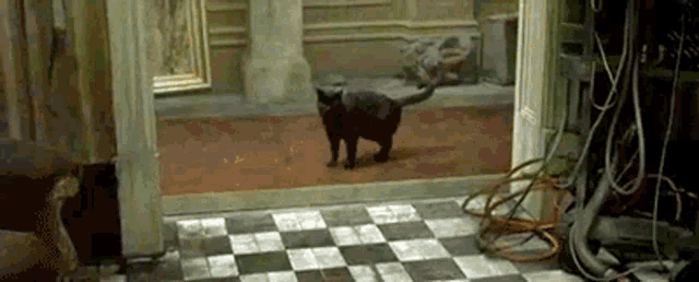 Whoa Deja Vu Matrix Glitch GIF - Whoa Deja Vu Matrix Glitch Black Cat GIFs