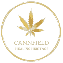 cannfield international cannabis weeds marijuana israel