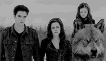 Cullen Family GIF - Cullen Family GIFs