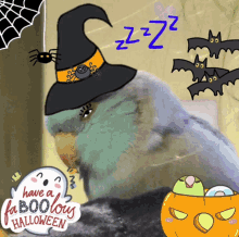 Halloween Parrotlet GIF - Halloween Parrotlet Pip GIFs