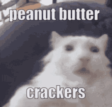 Peanut Butter Crackers Crackers GIF - Peanut Butter Crackers Crackers Peanut Butter GIFs