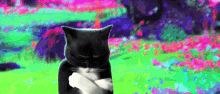 Puss In Boots The Last Wish Puss In Boots Eyes GIF - Puss In Boots The Last Wish Puss In Boots Eyes Blink GIFs