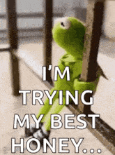 kermit the frog is sitting on a railing and saying `` i 'm trying my best honey ... '' .