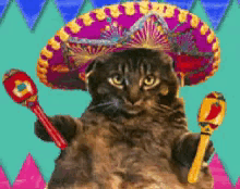 Mexican Sombrero GIF - Mexican Sombrero Cat GIFs