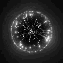 Lepo Circle GIF - Lepo Circle Firework GIFs