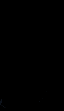 a man wearing a black jacket with white laces looks at the camera