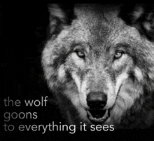 a black and white photo of a wolf with the words " the wolf goes to everything it sees "