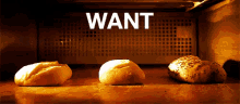 Want GIF - Want Bread Happy Passover GIFs