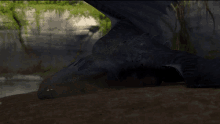 toothless from how to train your dragon is walking across a dirt field