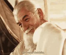 lord of the rings gandalf brave hobbits