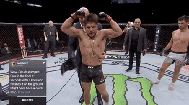 henry-cejudo.gif