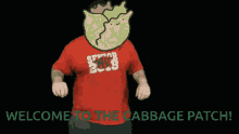 Cabbage Dance Hnh GIF