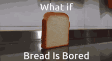 Bread Is GIF - Bread Is Bored GIFs
