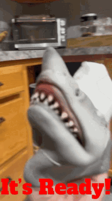 Shark Puppet Its Ready GIF