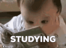 Studying GIF - Studying Study GIFs