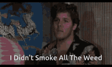 a close up of a man with the words i did n't smoke all the weed below him