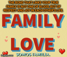 Family Love Familia GIF - Family Love Familia GIFs
