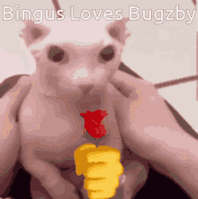 Bingus Bugzby GIF - Bingus Bugzby GIFs