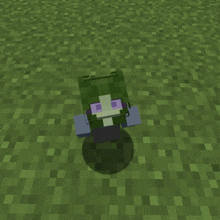a minecraft character with green hair and purple eyes stands in the grass