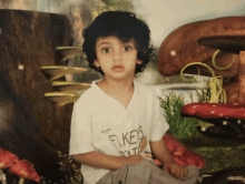 a young boy wearing a shirt that says " flies "