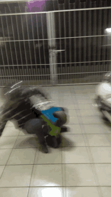 Bike GIF - Bike GIFs