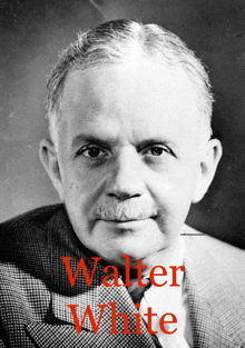 Walter White Naacp GIF