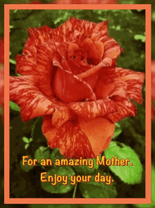 Mother Mothers GIF - Mother Mothers Day GIFs