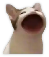 a cat is looking up with its mouth open