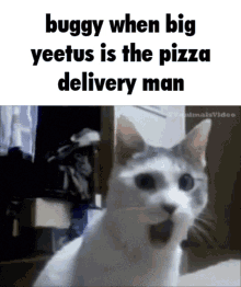 Buggy Pizza GIF