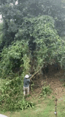 Tree Man Down GIF - Tree Man Down Fall Down GIFs