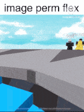 a screenshot of a video game with the words image perm flex at the top