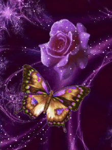 Rose Purple Rose GIF - Rose Purple Rose Butterfly GIFs