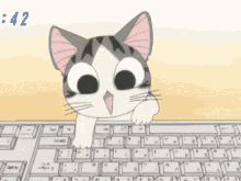 cat type typing keyboard computer