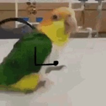Parrot Stick GIF - Parrot Stick Arms GIFs